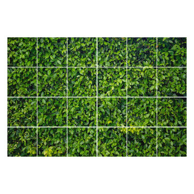 Naklejki na kafelki do kuchni Gęsta zieleń liści