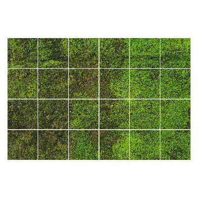 Okleina na płytki Mech na kamieniu