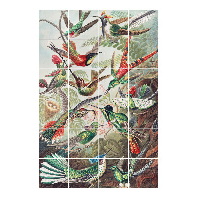 Naklejki na płytki Raj ptaków w tropikach