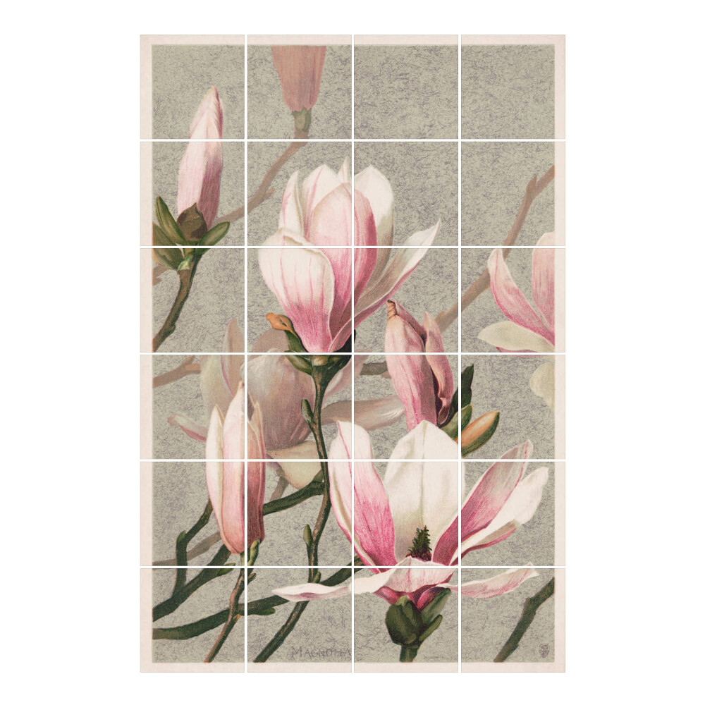 Naklejki na płytki Kwiaty magnolii w rozkwicie