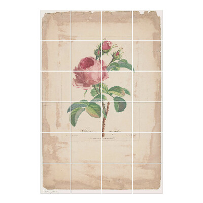 Samoprzylepne naklejki na płytki Róża z liśćmi i pąkami