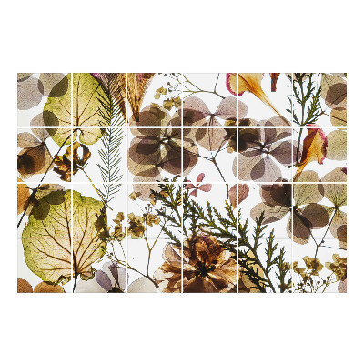 Nalepki na kafelki Kwiatowe kompozycje roślinne