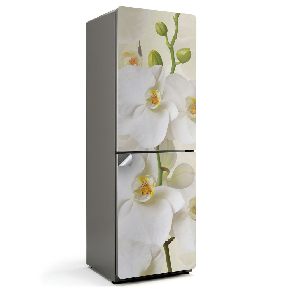 Nalepka na lodówkę Kwiatowe detale orchidei