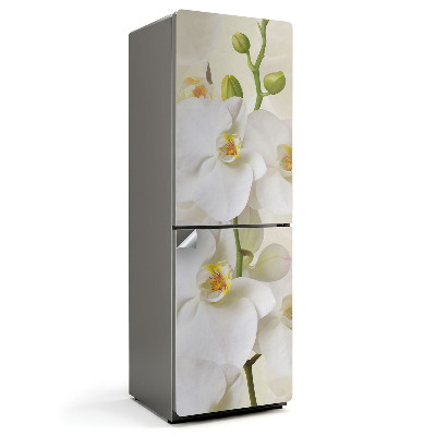 Nalepka na lodówkę Kwiatowe detale orchidei