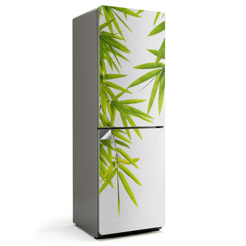 Naklejka na lodówkę Liście bambusa na białym tle