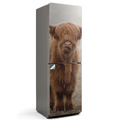 Nalepka na lodówkę Młode bydło w mistycznej mgle