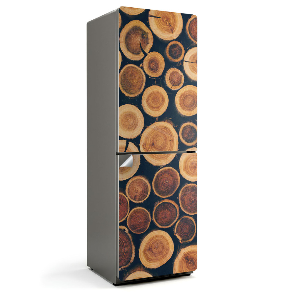 Naklejka na lodówkę Układ przekrojów drewna