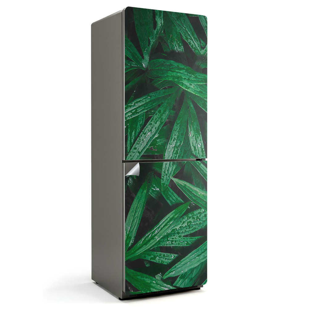 Naklejka na lodówkę Liście z kroplami wody