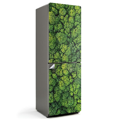 Naklejka na lodówkę Widok z góry na gęsty las