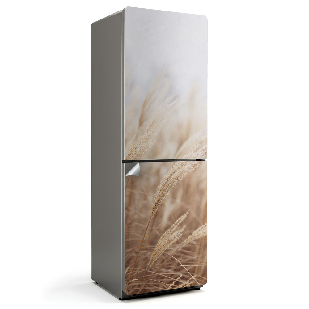 Naklejka na lodówkę Słoneczne źdźbła traw