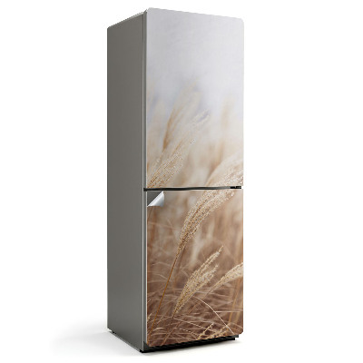 Naklejka na lodówkę Słoneczne źdźbła traw