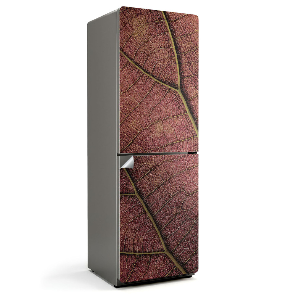 Nalepka na lodówkę Tekstura liścia z żyłkami