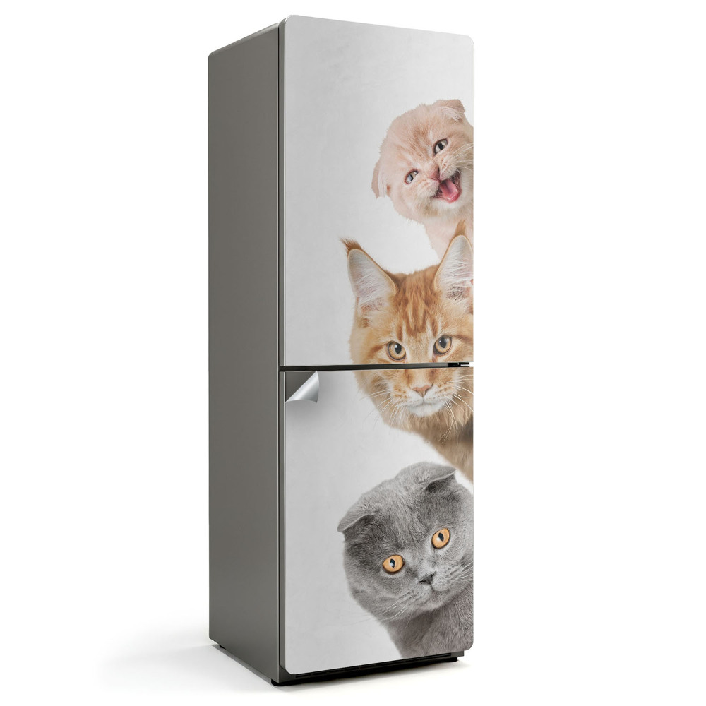 Nalepka na lodówkę Urocze koty w kolejce