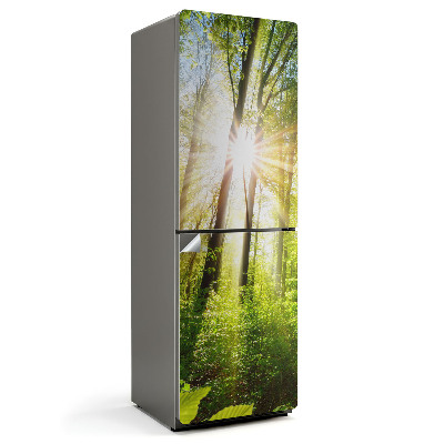 Nalepka na lodówkę Przebijające promienie słońca