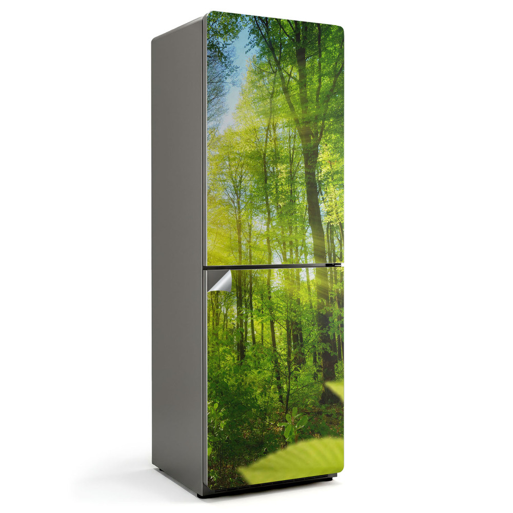 Okleina na lodówkę Promienie słońca w lesie