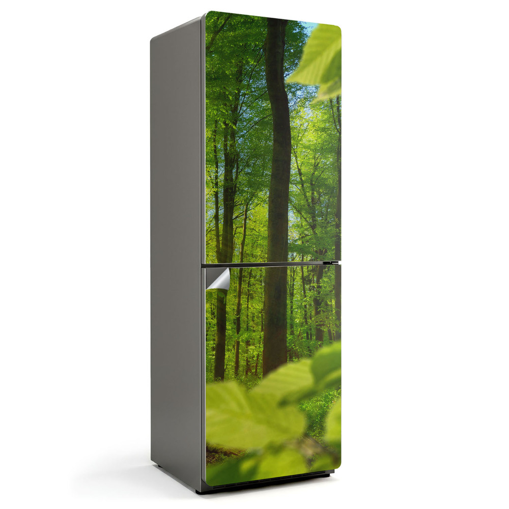 Naklejka na lodówkę Zielony las w słońcu