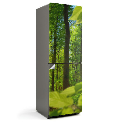 Naklejka na lodówkę Zielony las w słońcu