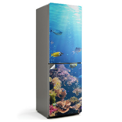 Nalepka na lodówkę Podwodny świat koralowców
