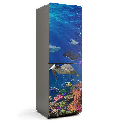 Naklejka na lodówkę Podwodny świat pełen życia