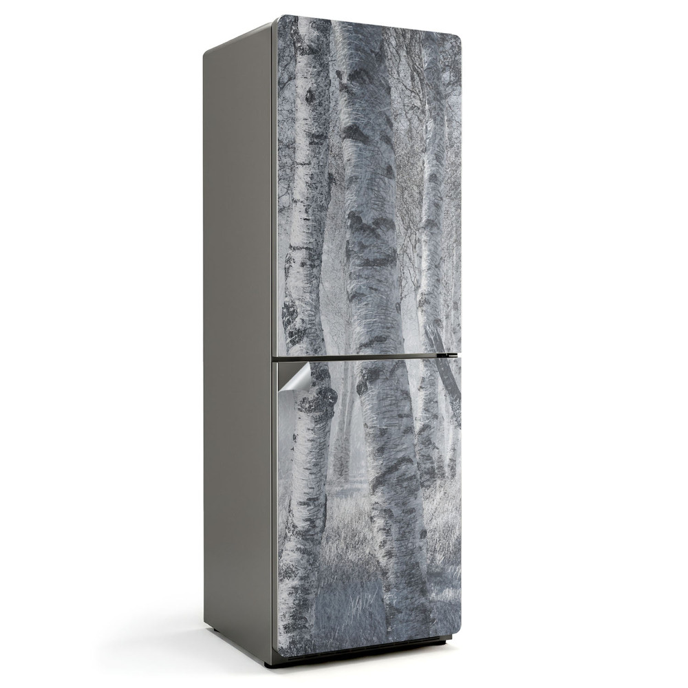 Naklejka na lodówkę Zamglony brzozowy las