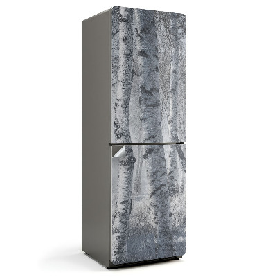 Naklejka na lodówkę Zamglony brzozowy las