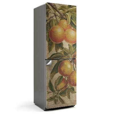 Naklejka na lodówkę Gałąź z owocami cytrusowymi