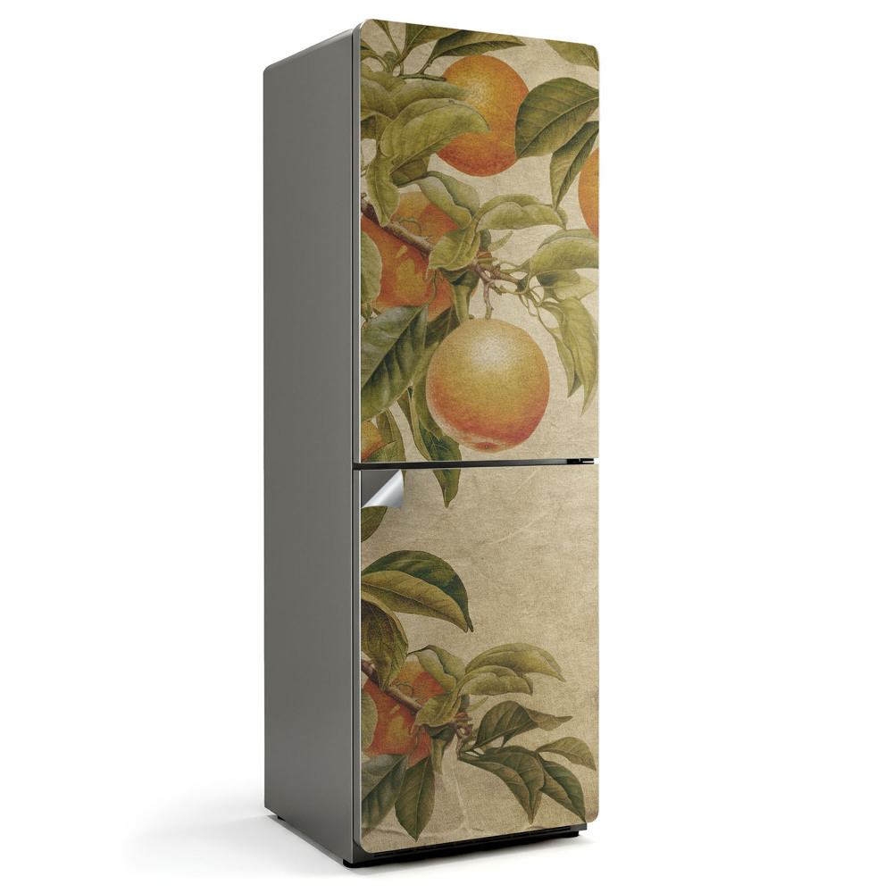 Nalepka na lodówkę Gałęzie z owocami