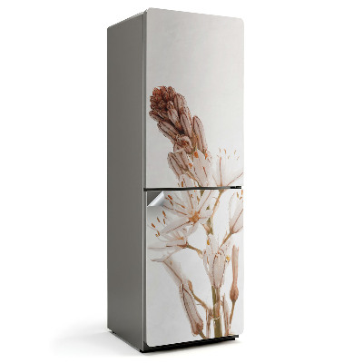 Okleina na lodówkę Delikatne roślina w zbliżeniu