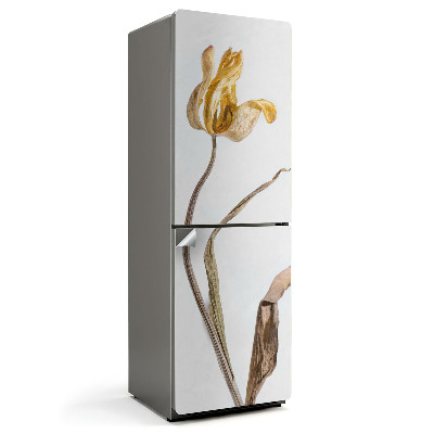 Naklejka na lodówkę Uschnięty kwiat tulipana