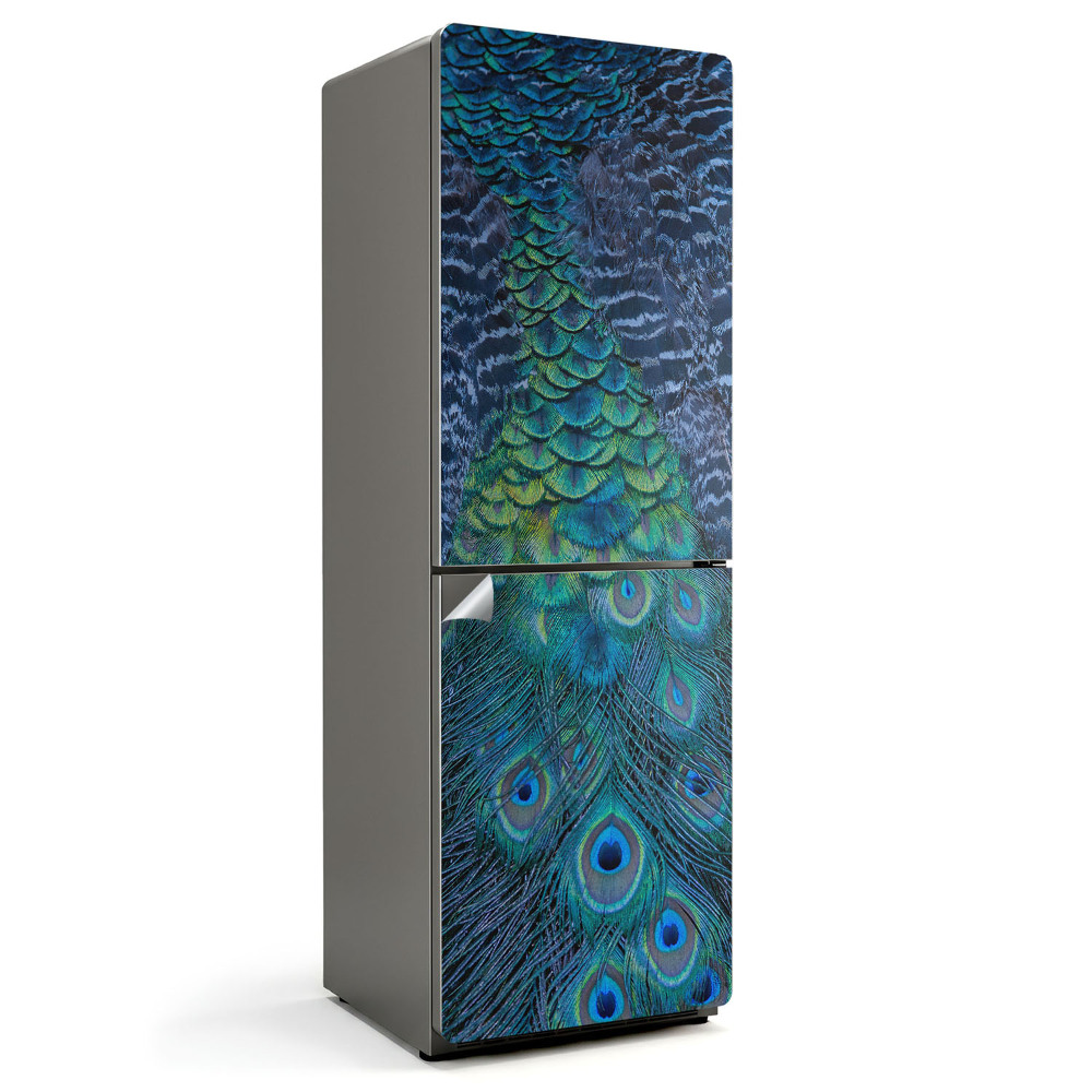Naklejka na lodówkę Pióra pawia w detalu