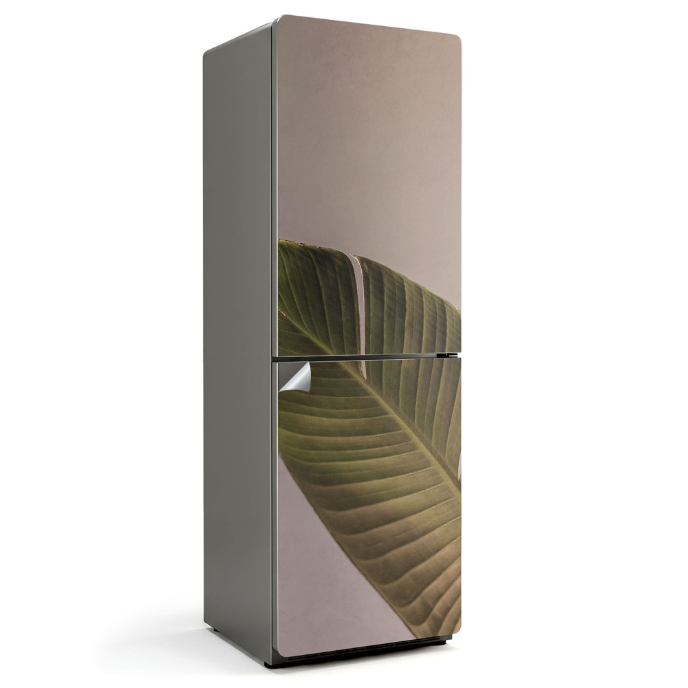 Naklejka na lodówkę Liść z wyraźnymi żyłkami