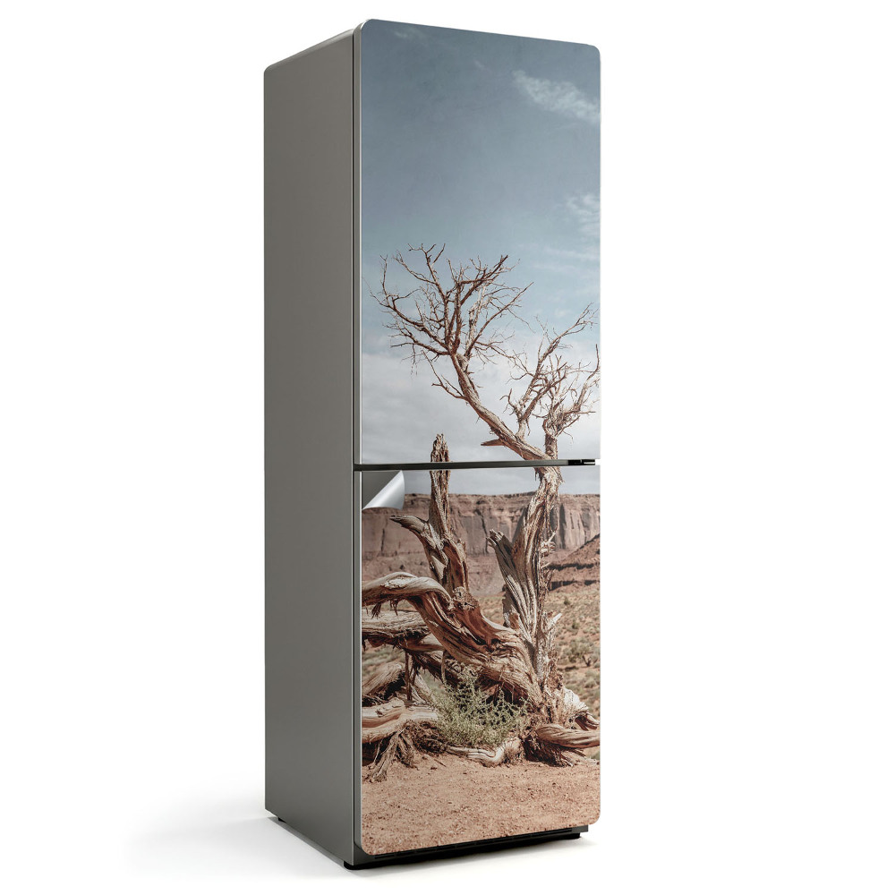 Nalepka na lodówkę Skręcony pień drzewa