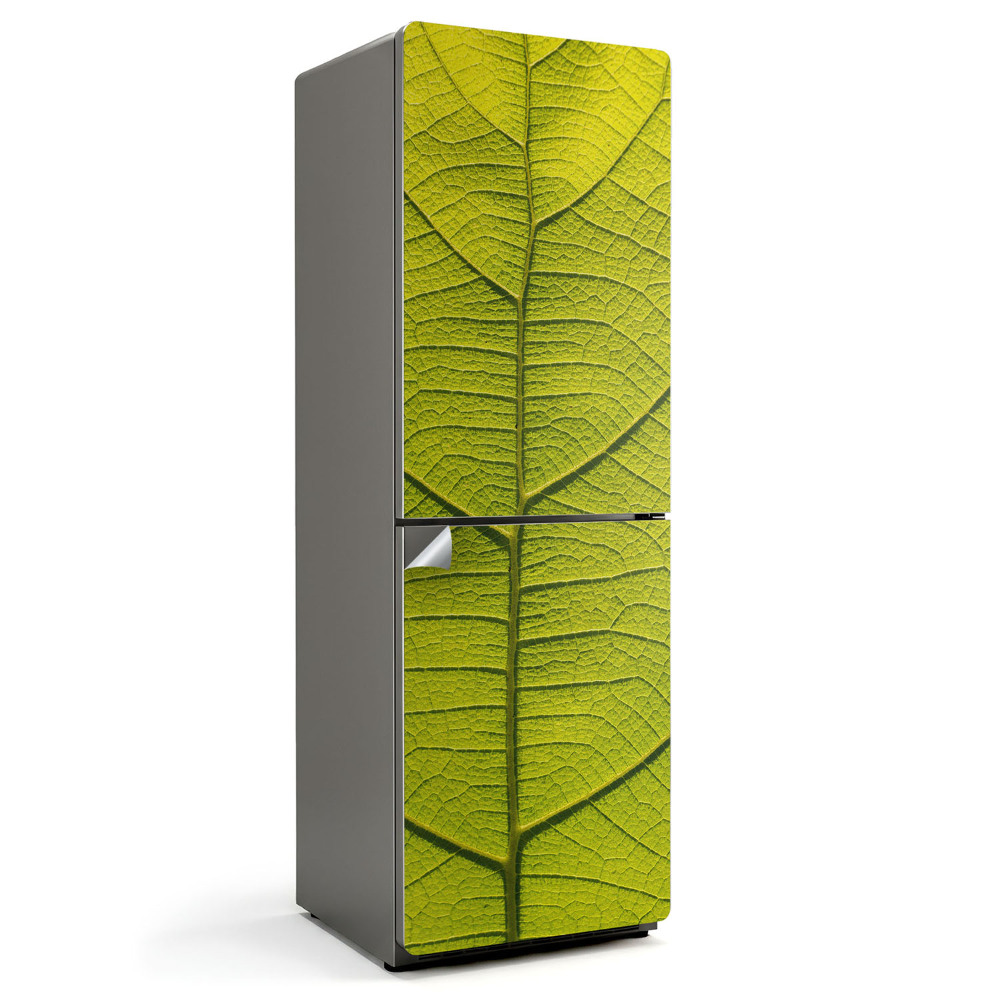 Okleina na lodówkę Szczegóły liścia rośliny