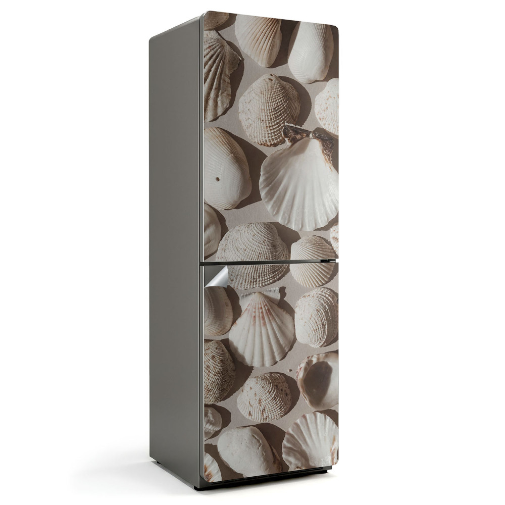 Naklejka na lodówkę kompozycja ułożona z muszli