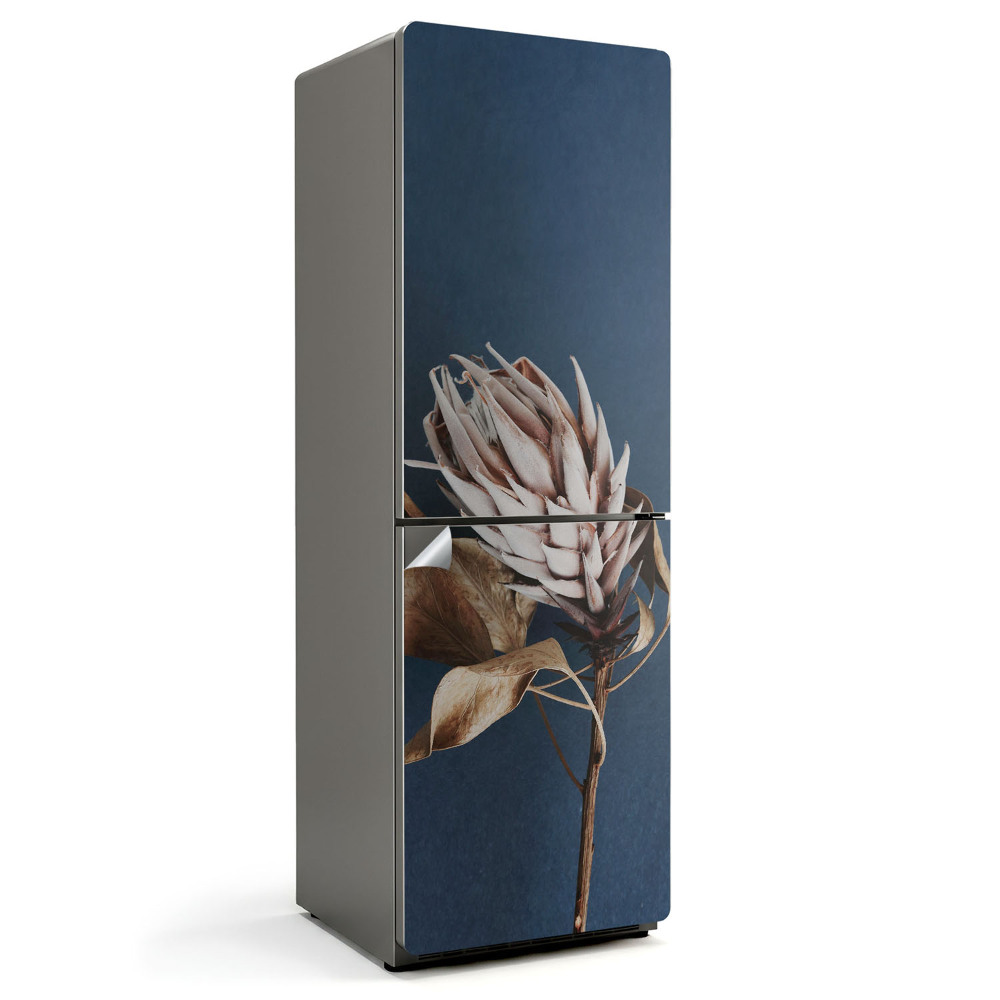 Nalepka na lodówkę Zbliżenie na suszoną roślinę