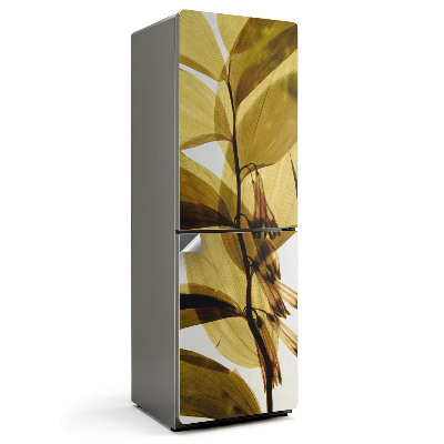 Okleina na lodówkę Przezroczyste liście i kwiaty