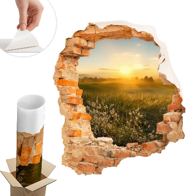 Dziura w ścianie 3D 111x130 Słoneczna łąka
