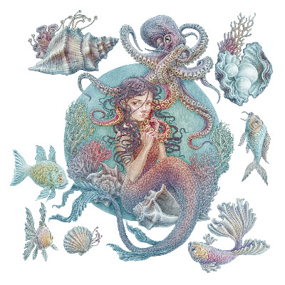 Naklejka na ścianę 60x67 Podwodne muszle i baśniowe zwierzęta