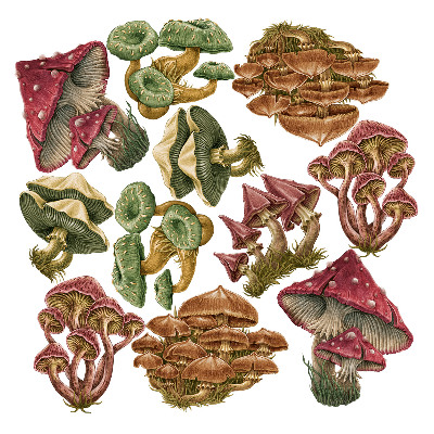 Naklejki do pokoju dziecka 100x48 Kolorowe grzyby z leśną roślinnością