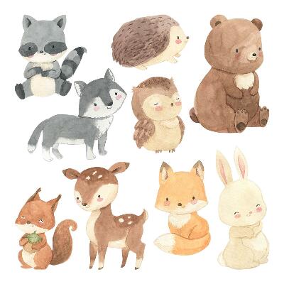 Naklejki do pokoju dziecka 100x174 Urocze akwarelowe ilustracje leśnych zwierzątek