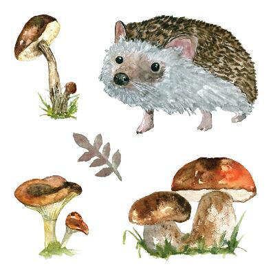 Naklejki dla dzieci 130x201 Akwarelowe grzyby i jeż w leśnym krajobrazie