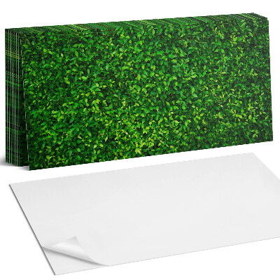 Panel samoprzylepny na ścianę Gęsta ściana liści